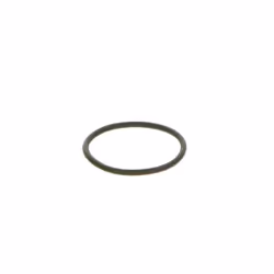 O-ring, guida comune BOSCH F 00R 0P0 166 - Vista aggiuntiva 3