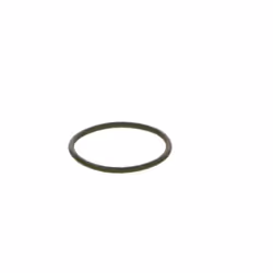 O-ring, guida comune BOSCH F 00R 0P0 166 - Vista aggiuntiva 5