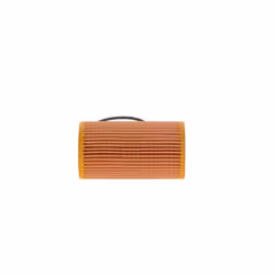 Filtro olio BOSCH 1 457 429 119 - Vista aggiuntiva 5