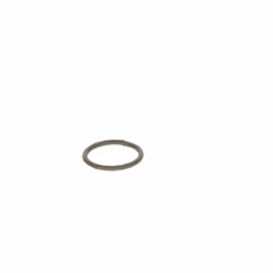 Anello in gomma BOSCH F 00V C23 002 - Vista aggiuntiva 4