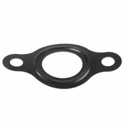Guarnizione piatta, pompa common rail BOSCH F 00R 0P1 466 - Vista aggiuntiva 2
