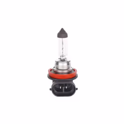Lampada alogena BOSCH H8 Pure Light 12V, 35W, 1 Pezzo - Vista aggiuntiva 7