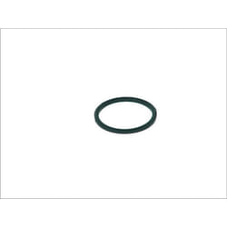 Guarnizione BOSCH F 00R 0P1 246