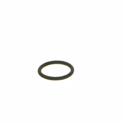 Anello in gomma BOSCH F 00R J00 534