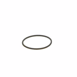 Elemento, pompa common rail BOSCH F 00N 202 130 - Vista aggiuntiva 4