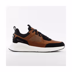 Sneakers Kaporal Dolphin Marrone - 43