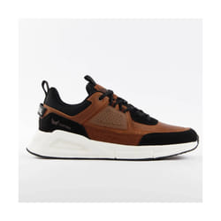 Sneakers Kaporal Dolphin Marrone - 43