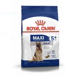 Royal Canin Maxi Adult 5+ 4 kg Adulto Trinciapollo