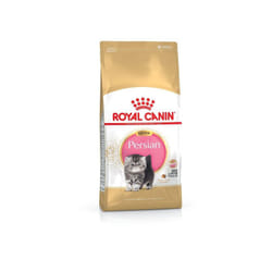 Royal Canin - cibo che Kitten Persian per Persian Gatitos - 4kg