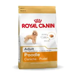 Royal Canin Adult Poodle Barboncino - Crocchette 1,5 kg