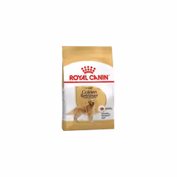 Royal Canin Golden Retriever Adult, Adulto, Golden Retriever, Medio (11 - 25 kg), Trinciapollo, 3 kg