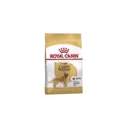 Royal Canin Golden Retriever Adult 3 kg Adulto Trinciapollo