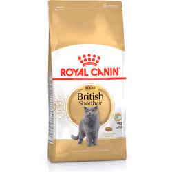 Royal Canin British Shorthair, Adulto, Short air britannico, 2 kg, Antiossidanti inclusi