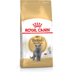Royal Canin British Shorthair cibo secco per gatti 2 kg Adulto