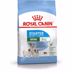 Royal Canin Mini Starter Mother & Babydog, Adulto, Mini (5 - 10 kg), Trinciapollo, 8,5 kg