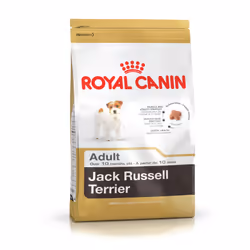 Royal Canin Jack Russell Adult, Adulto, Jack Russell Terrier, Mini (5 - 10 kg), Trinciapollo, Riso, 500 g