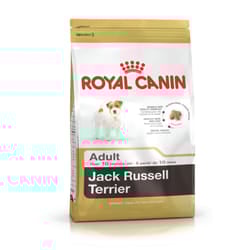 Royal Canin Jack Russell Adult 500 g Adulto Trinciapollo, Riso