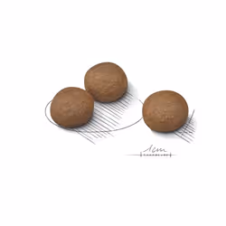 Royal Canin Medium Digestive Care 10 kg Adulto Vegetale