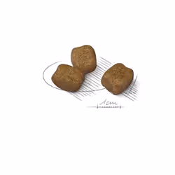 Royal Canin Mini Dental Care 1 kg Adulto Mais, Trinciapollo, Riso, Vegetale