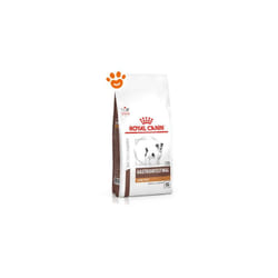Royal Canin - vhn Dog Gastrointestinal Low Fat Small vhn Dog Gastrointestinal Low Fat Small - Sacco Da 3,5 Kg