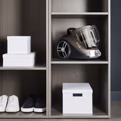 Rowenta Compact Power XXL RO4B50 2,5 L A cilindro Secco 900 W Senza sacchetto - Vista aggiuntiva 7