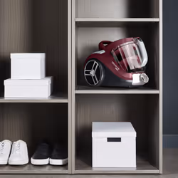 Rowenta Compact Power XXL RO4B63 2,5 L A cilindro Secco 900 W Senza sacchetto - Vista aggiuntiva 6