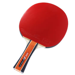 Cornilleau Sport 300 tavolo da ping pong Nero, Rosso