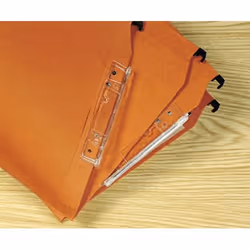 Esselte 22213 cartella sospesa e accessorio Cartoncino Arancione