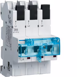 Hager HTS350E, 230-400 V, 50 A, 3P