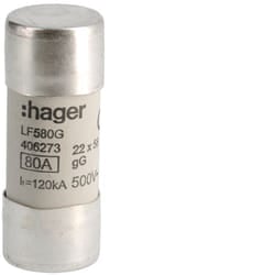 Hager LF580G accessorio per cassetta di energia elettrica
