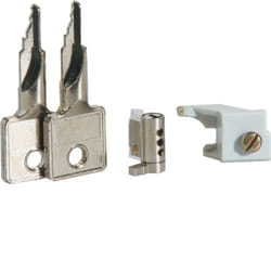 Hager VZ311 accessorio per cassetta di energia elettrica