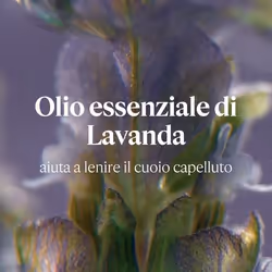 L'Occitane Balsamo Equilibrio & Dolcezza Aromachologie 250ml - Vista aggiuntiva 4