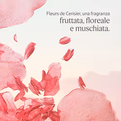 L'Occitane Fleurs de Cerisier 75ml - Vista aggiuntiva 3