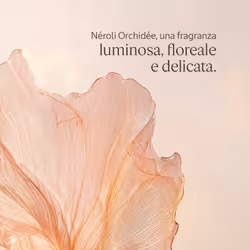 L'Occitane Néroli Orchidée (Neroli Orchid) 250ml - Vista aggiuntiva 3