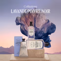 L'Occitane Lavande Poivre Noir (Formerly L'Occitan) Roll-On Deodorant Donna Deodorante roll-on 50 ml 1 pz - Vista aggiuntiva 4