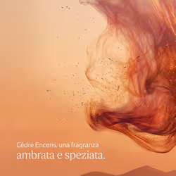 L'Occitane Gel Doccia Cèdre Encens 250ml - Vista aggiuntiva 3