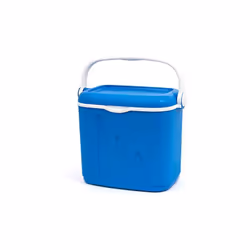 Coperchio conmaniglia integrata, Capacità di 32 l, Misure: 49 x 33 x 41 cm, Marca: CURVER
