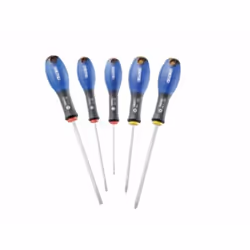 Expert Set di 5 cacciaviti