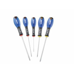 Expert Set di 5 cacciaviti