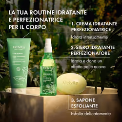 Melvita Crema idratante perfezionatrice L’Or Végétal 200ml - Vista aggiuntiva 6