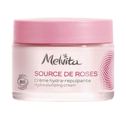 Ricarica crema idratante rimpolpante Source De Roses 50 ml