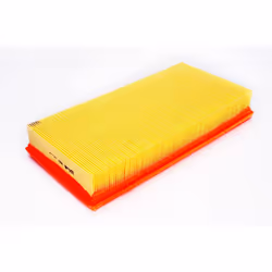 Filtro aria PURFLUX A893