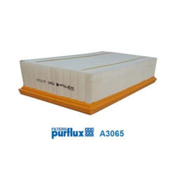 Filtro aria PURFLUX A3065