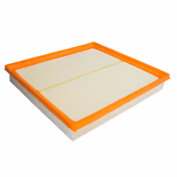 Filtro aria PURFLUX A1161