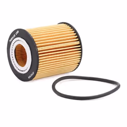 PURFLUX L989 Filtro olio Cartuccia filtro FORD: Ranger Mk3