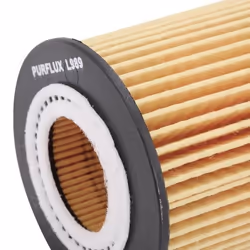 PURFLUX L989 Filtro olio Cartuccia filtro FORD: Ranger Mk3 - Vista aggiuntiva 4