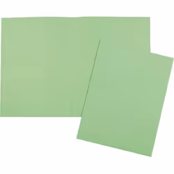 5Star 914670, A4, Cartoncino, Verde, Ritratto, 250 g/m², 240 mm