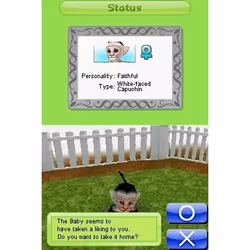 Ubisoft Petz: My Monkey Family, Nintendo DS Inglese