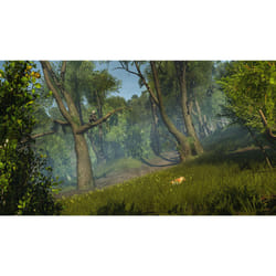 Ubisoft Assassin's Creed Rogue HD PlayStation 4