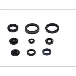 Set di guarnizioni olio motore ATHENA P400510400140